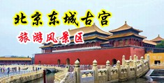色a草b中国北京-东城古宫旅游风景区